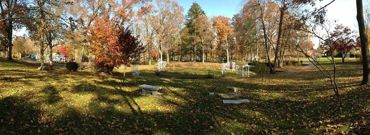 Autumn foliage in a park in Attleboro, Massachusetts
